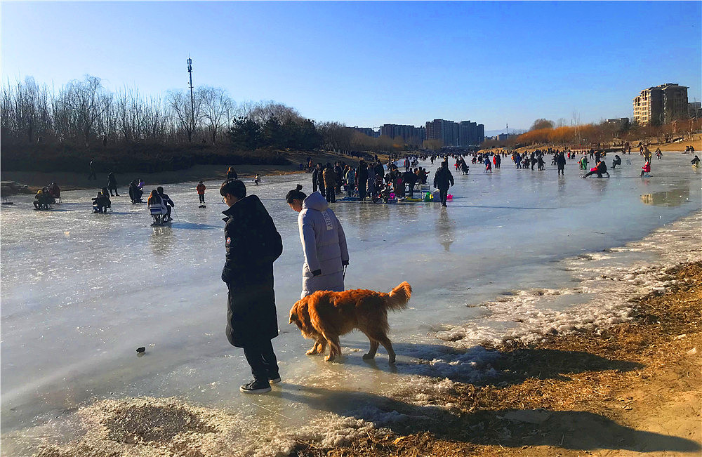 刘勇良手机纪实摄影:京冬河上天然滑冰场