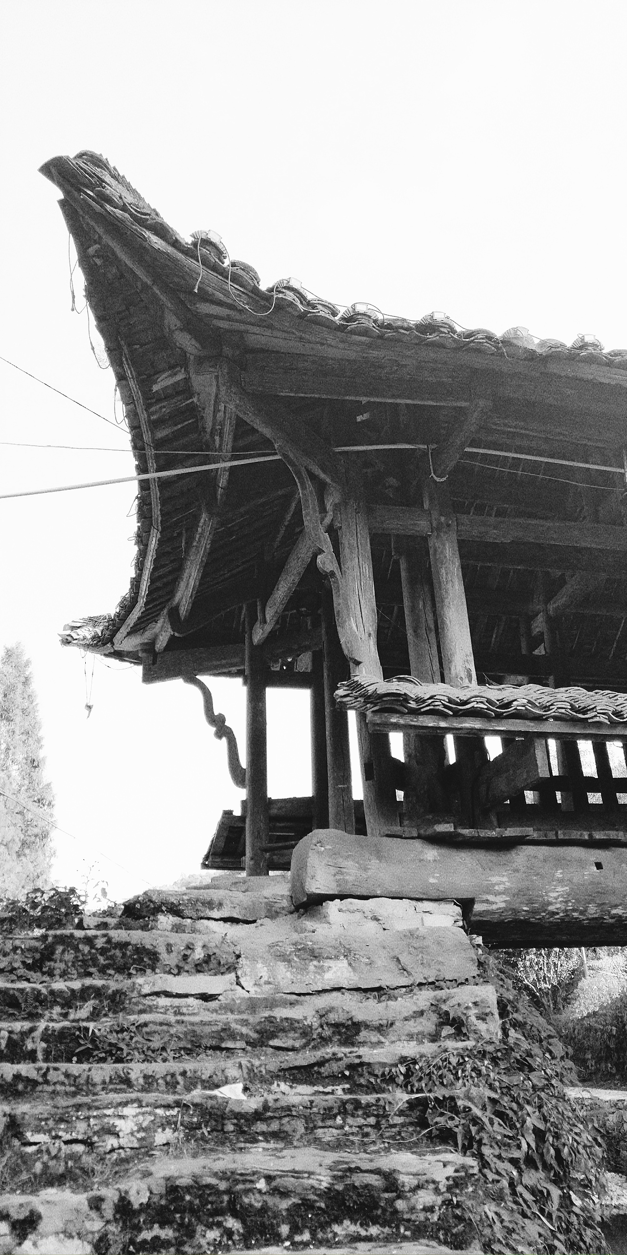 第五十六集 焱琳浩文艺术 田浩文画画日记