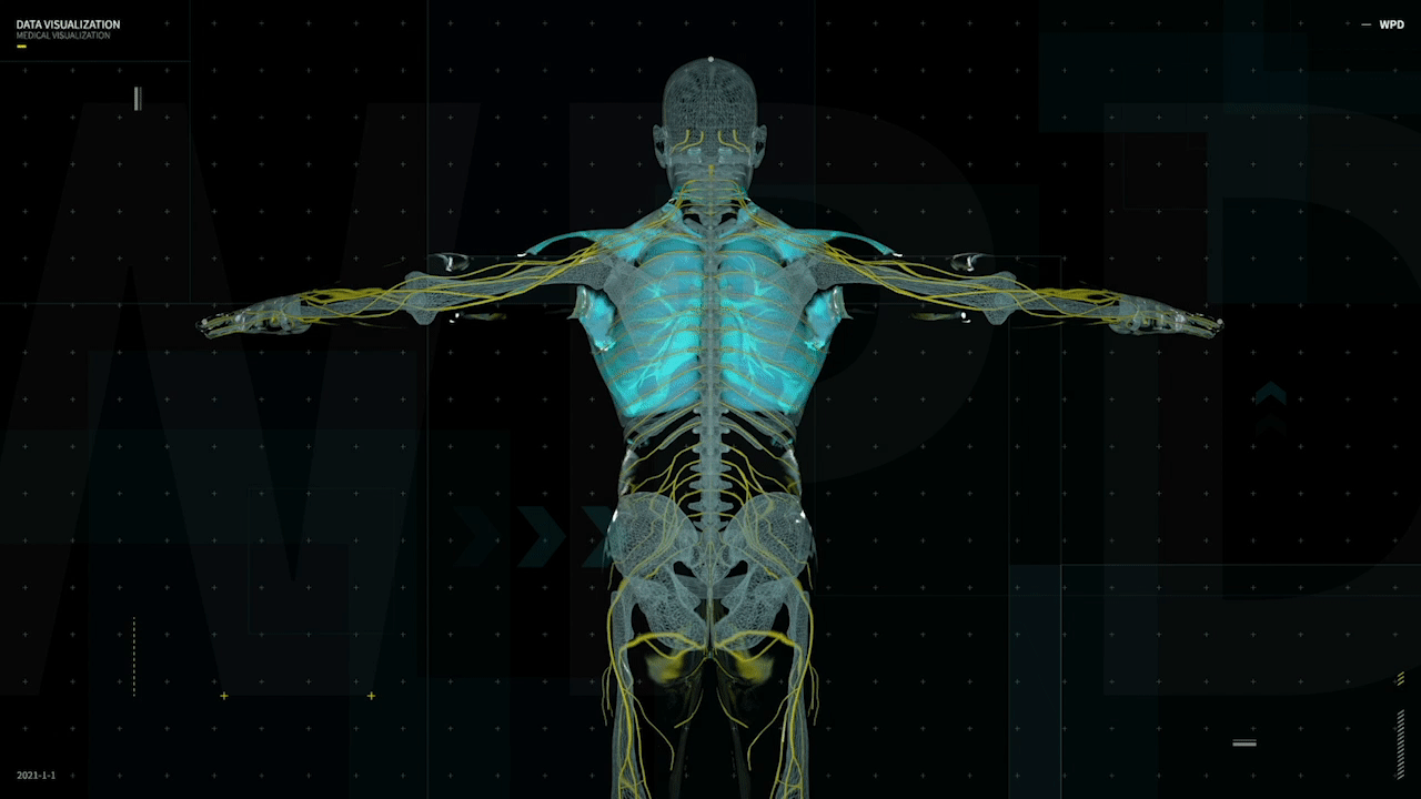数据大屏可视化设计 - 人体医疗可视化 HUD FUI DATA（图ZMjYzMjI1Mjc2） - 其他UI - 站酷设计师DATART王鹏原创素材 - 站酷ZCOOL