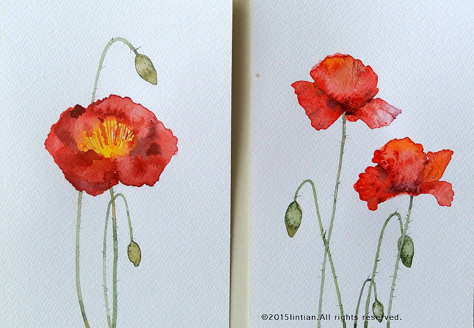 一日一花（图ZMzc5ODAyOTI=） - 商业插画 - 站酷设计师林田lisa原创素材 - 站酷ZCOOL