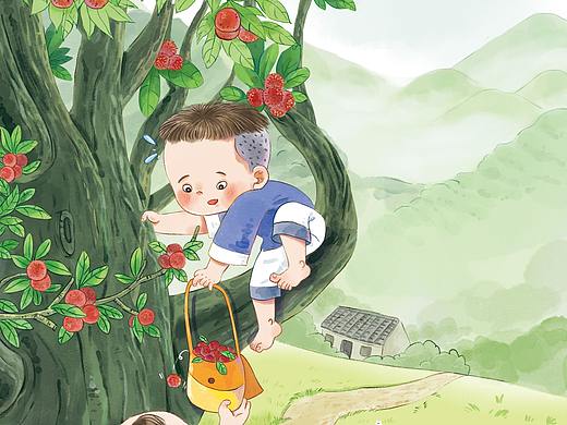 我爱故乡的杨梅封面
