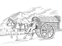 人民币风插画线稿 