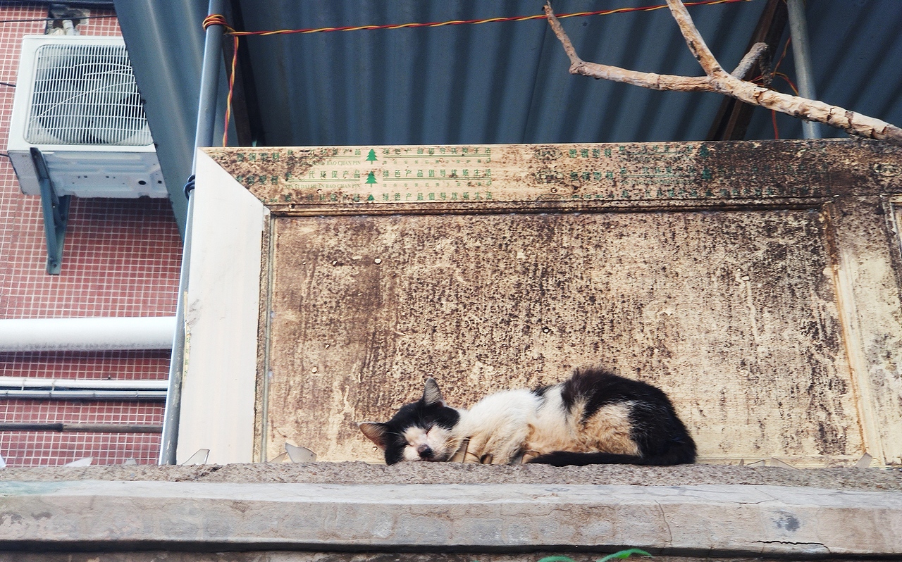 边走边画-南石西村