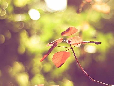 鞋子banner