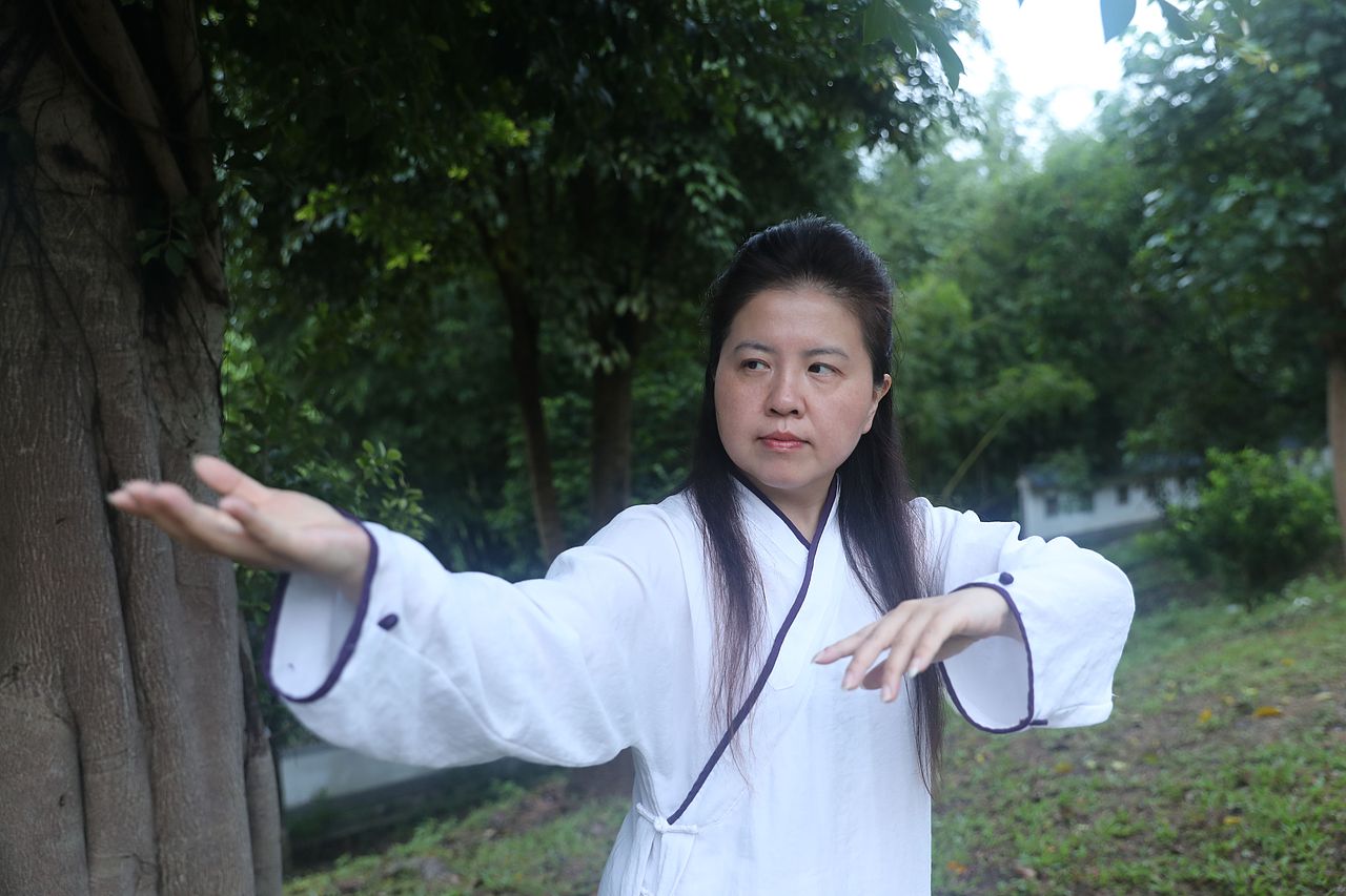 武当道致·理淳