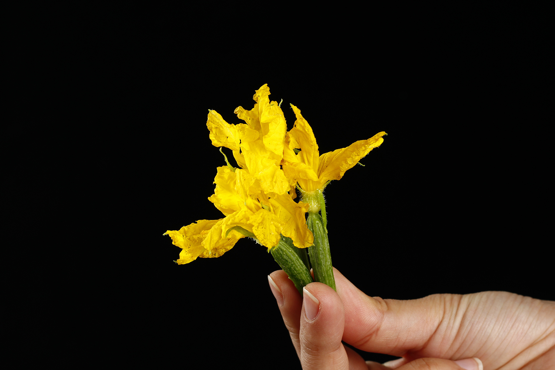 小黄瓜花部分样片丨你们不一定吃过的美食哦丨附攻略