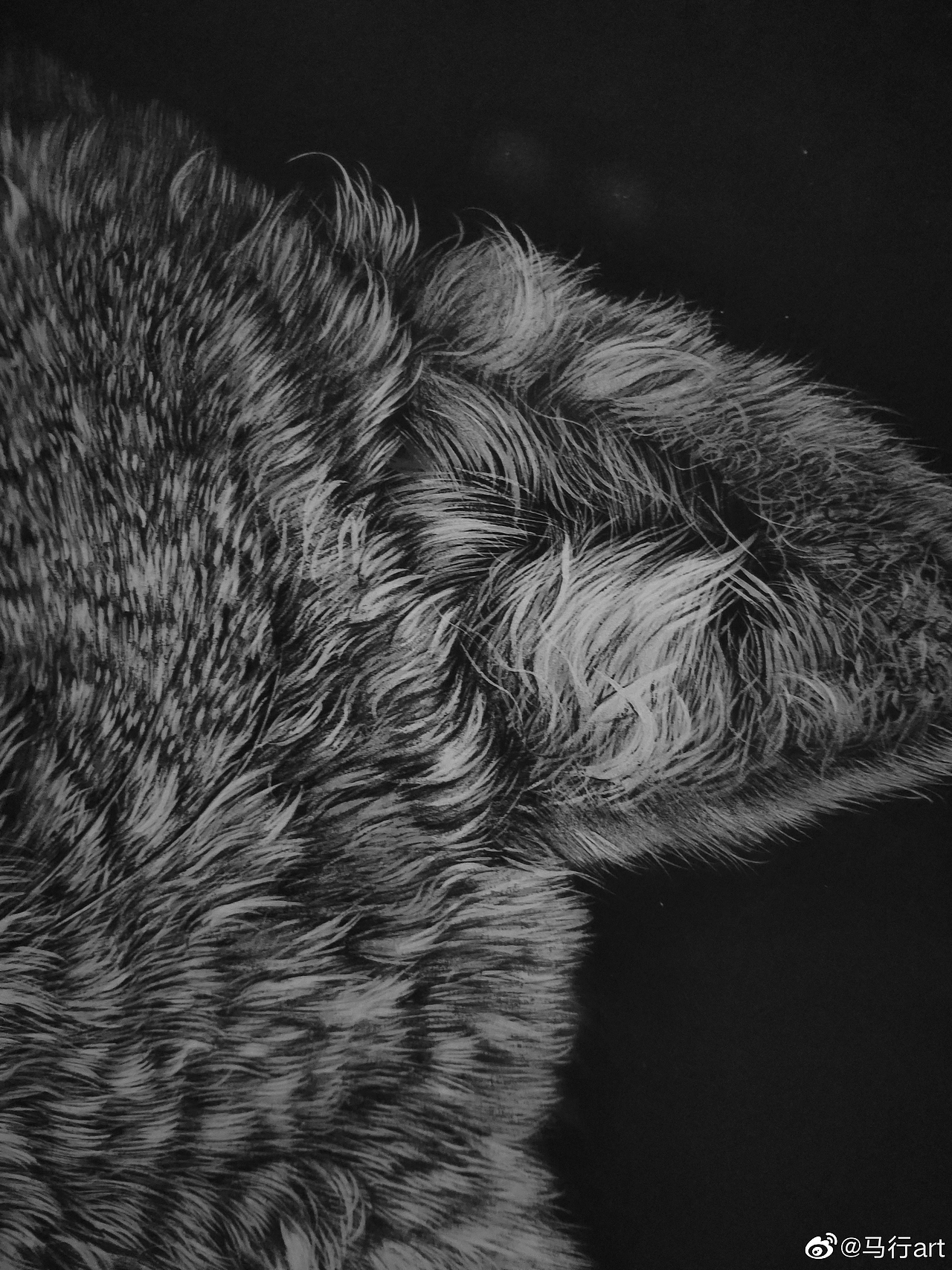 狼，绘（图ZMTcyNDc1MDY0） - 绘画 - 站酷设计师马行画彩铅原创素材 - 站酷ZCOOL