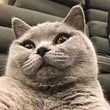 绮死回生的头像