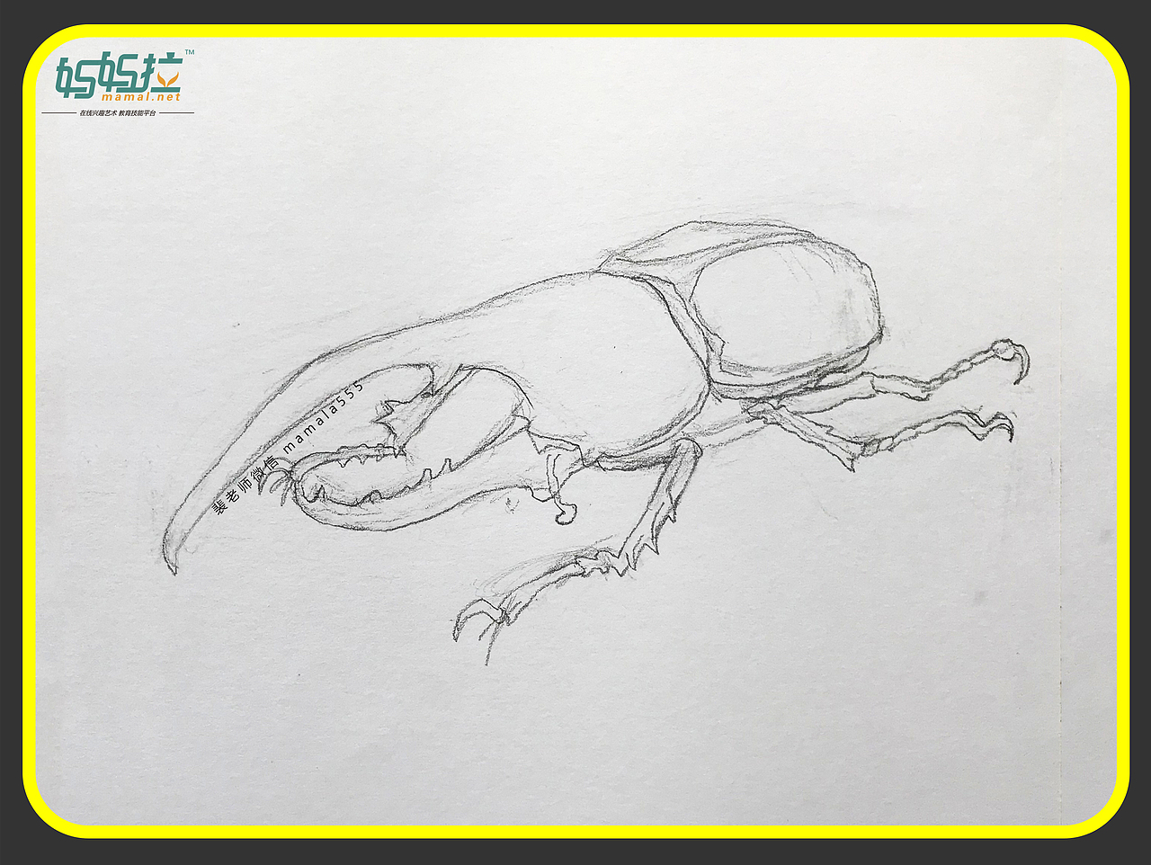 素描长戟大兜虫