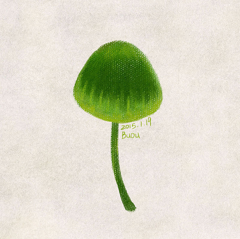 蘑菇