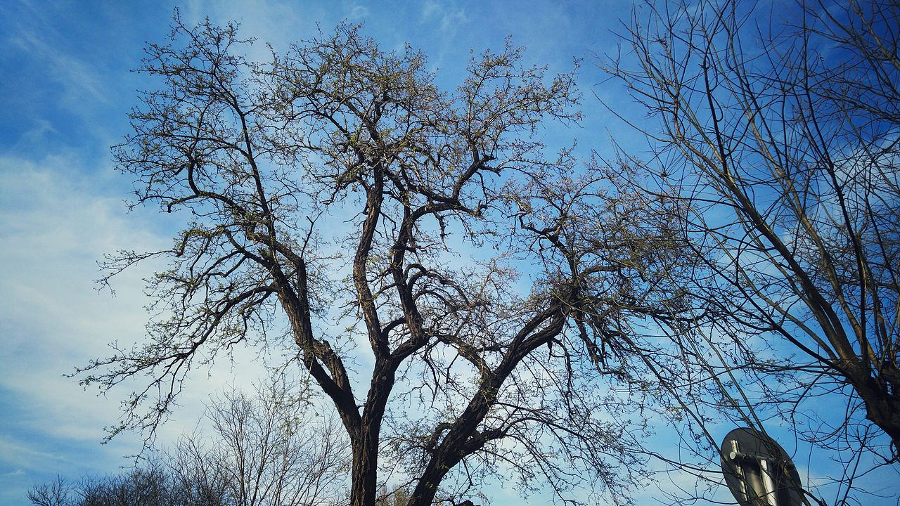 北京的风云变幻--努比亚z9拍摄（图ZNDk2NTk2NjA=） - 风光摄影 - 站酷设计师龙孞原创素材 - 站酷ZCOOL