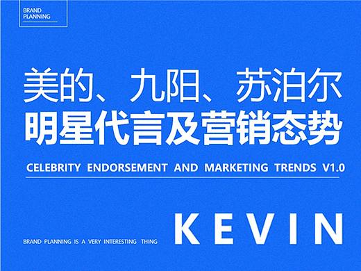 美九苏明星代言及营销态势分享