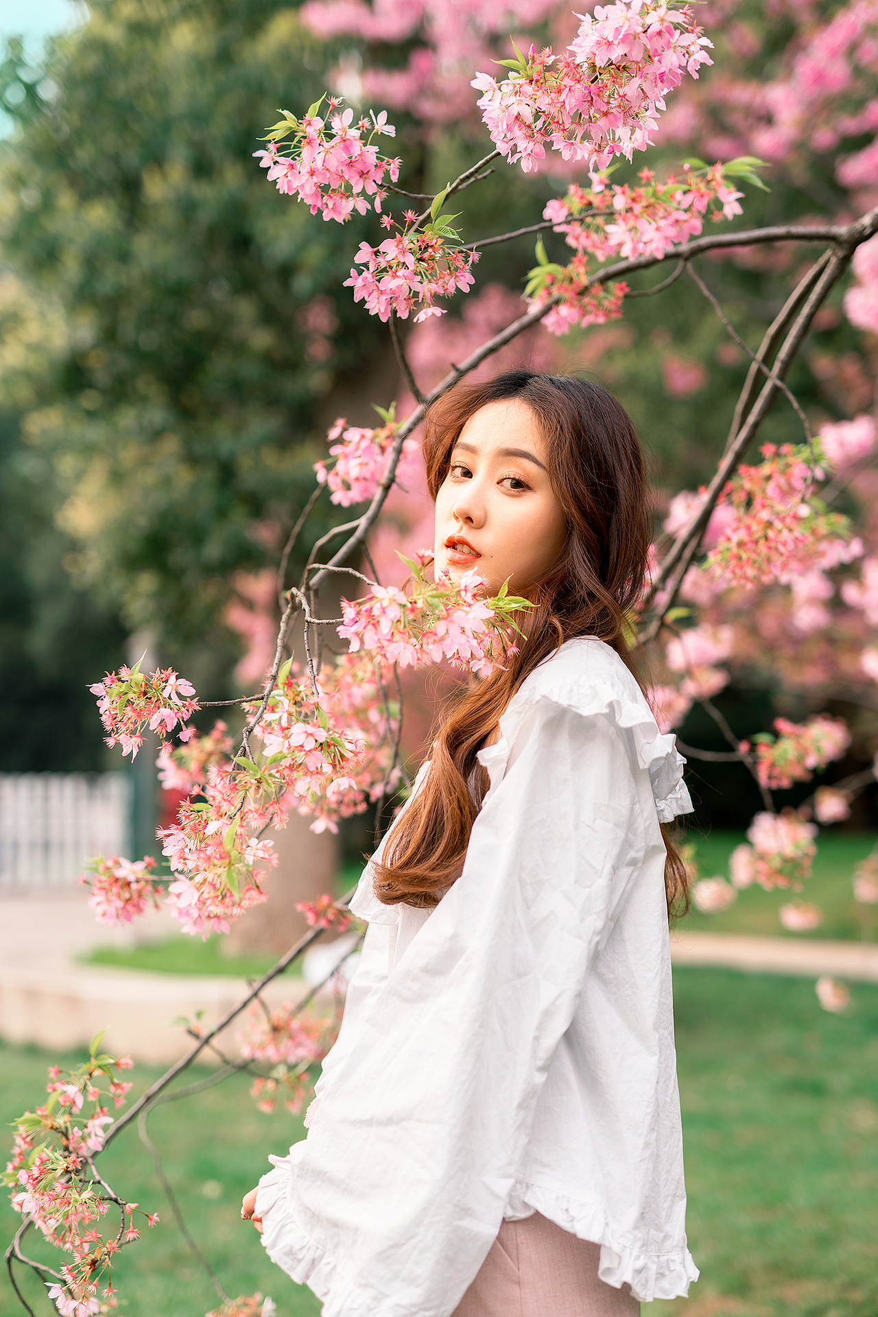 樱花少女（图ZMTgzODY1MzE2） - 人像摄影 - 站酷设计师高高飞原创素材 - 站酷ZCOOL