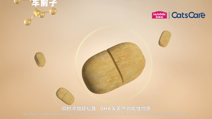 宠物粮食视频 | 麦富迪X珀珀宠影