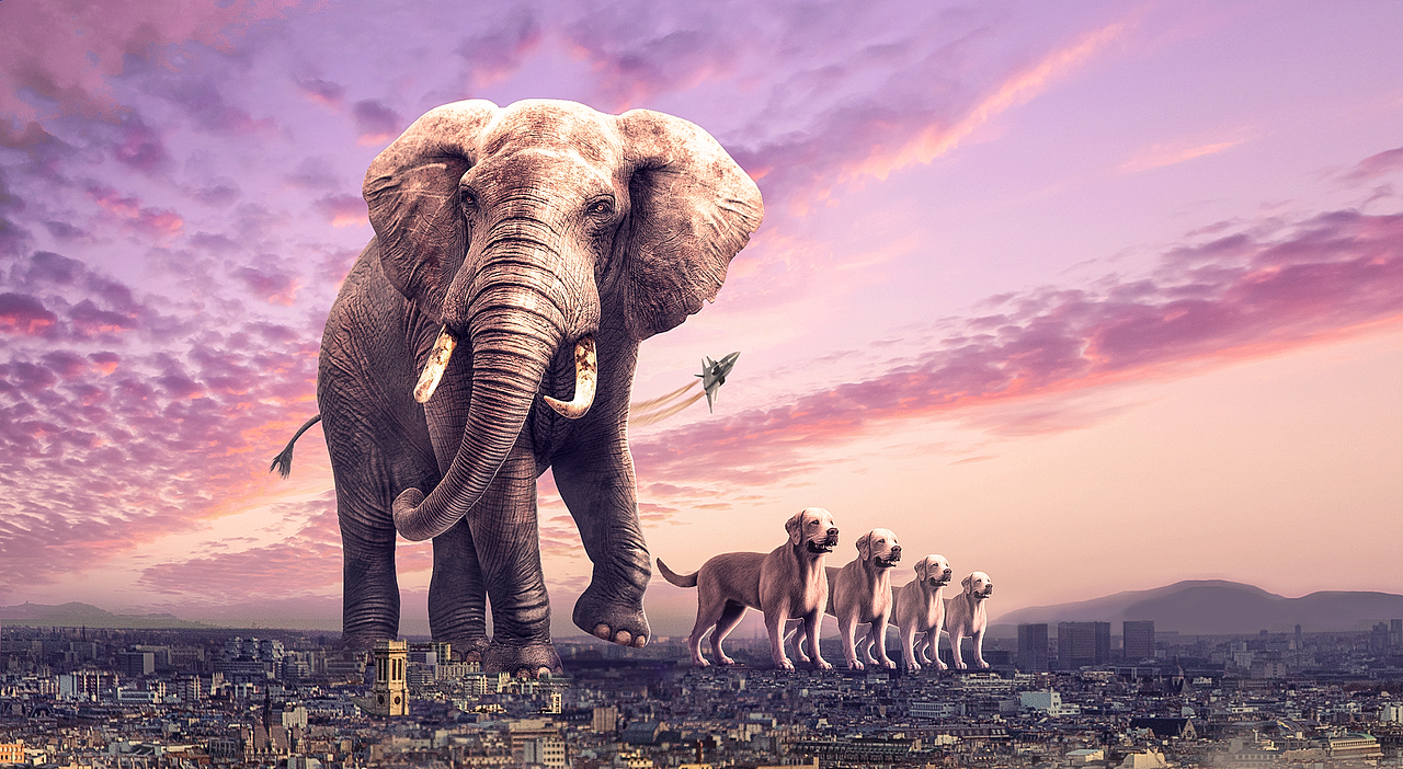 苏杭|创意合成练习-动物情结（图ZMjcwNTI5MTAw） - 海报 - 站酷设计师忠艺传媒_苏杭原创素材 - 站酷ZCOOL