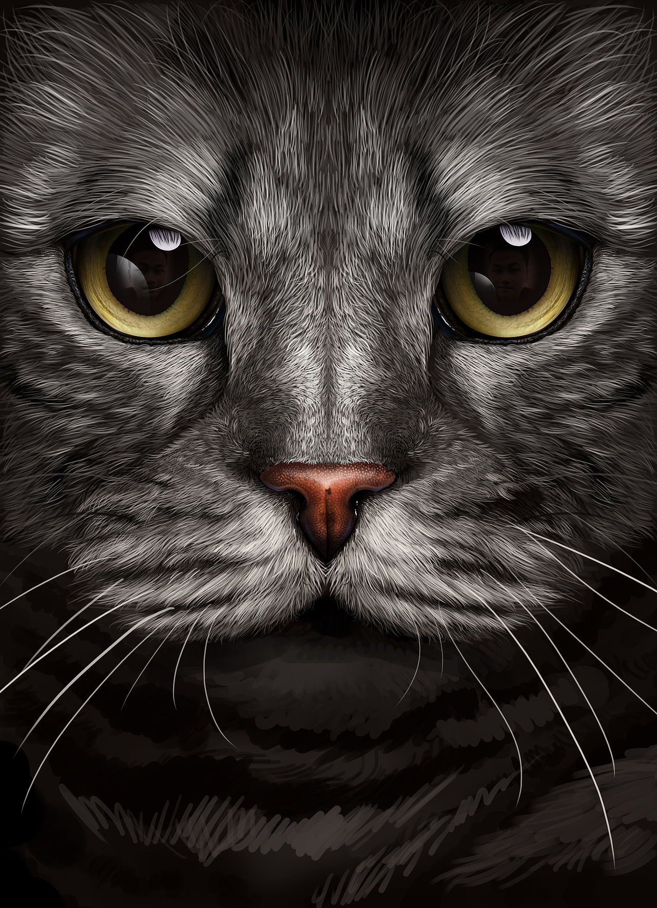 猫插画（图ZMTc3OTI0ODg0） - 商业插画 - 站酷设计师木鱼排骨原创素材 - 站酷ZCOOL