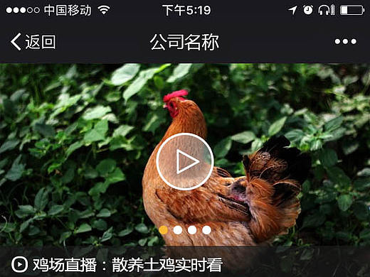 微信端-类商城鸡场首页