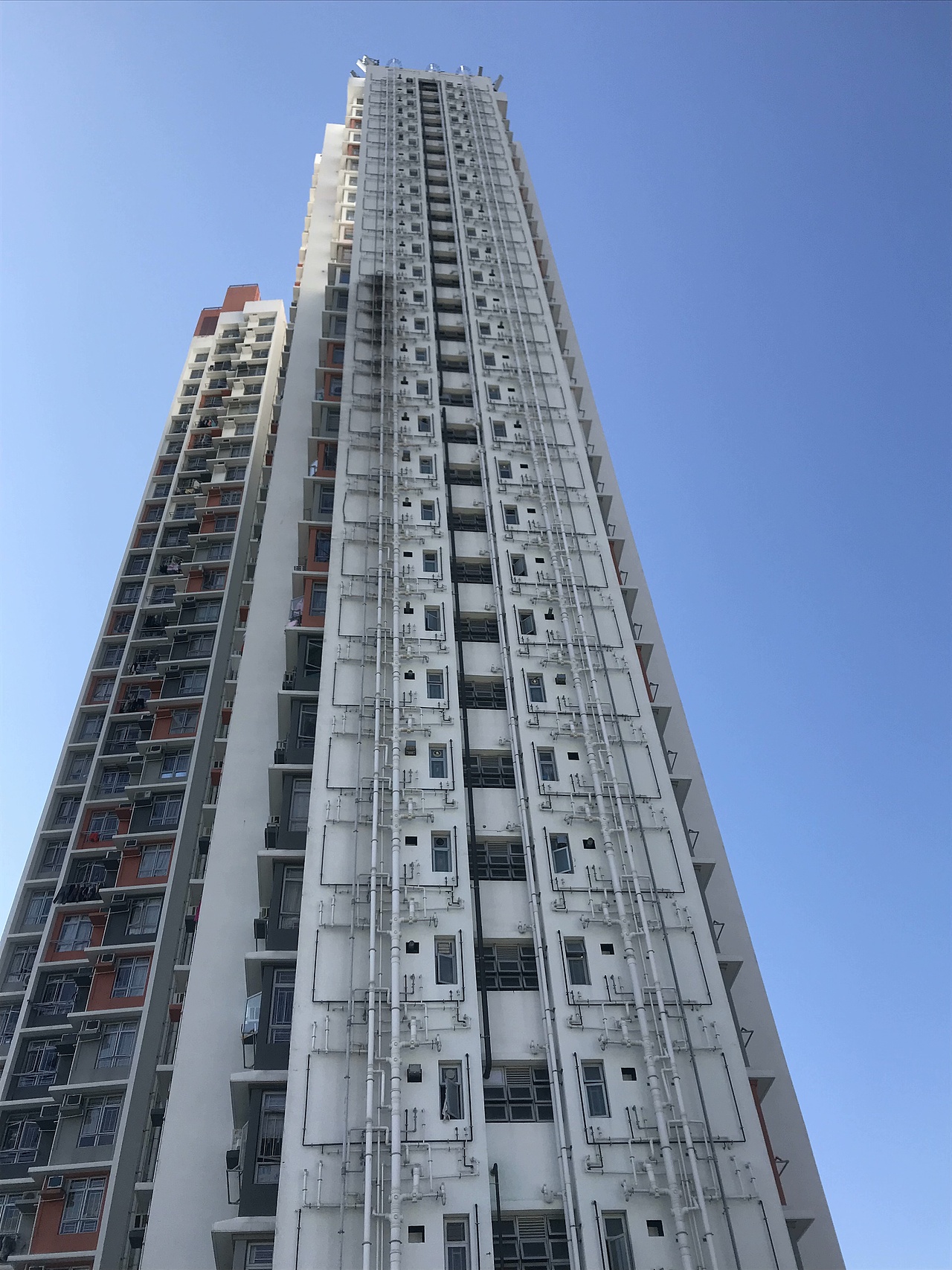 香港 I那些做助理的日子