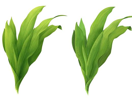 插畫練習(xí)（個(gè)人主頁-ZMzM4Njk0ODg=） - 創(chuàng)作習(xí)作 - 站酷設(shè)計(jì)師叄肆坊原創(chuàng)素材 - 站酷ZCOOL