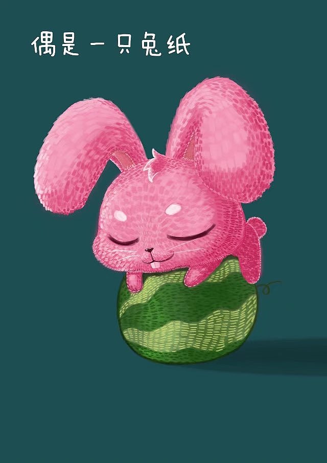 偶是一只兔纸