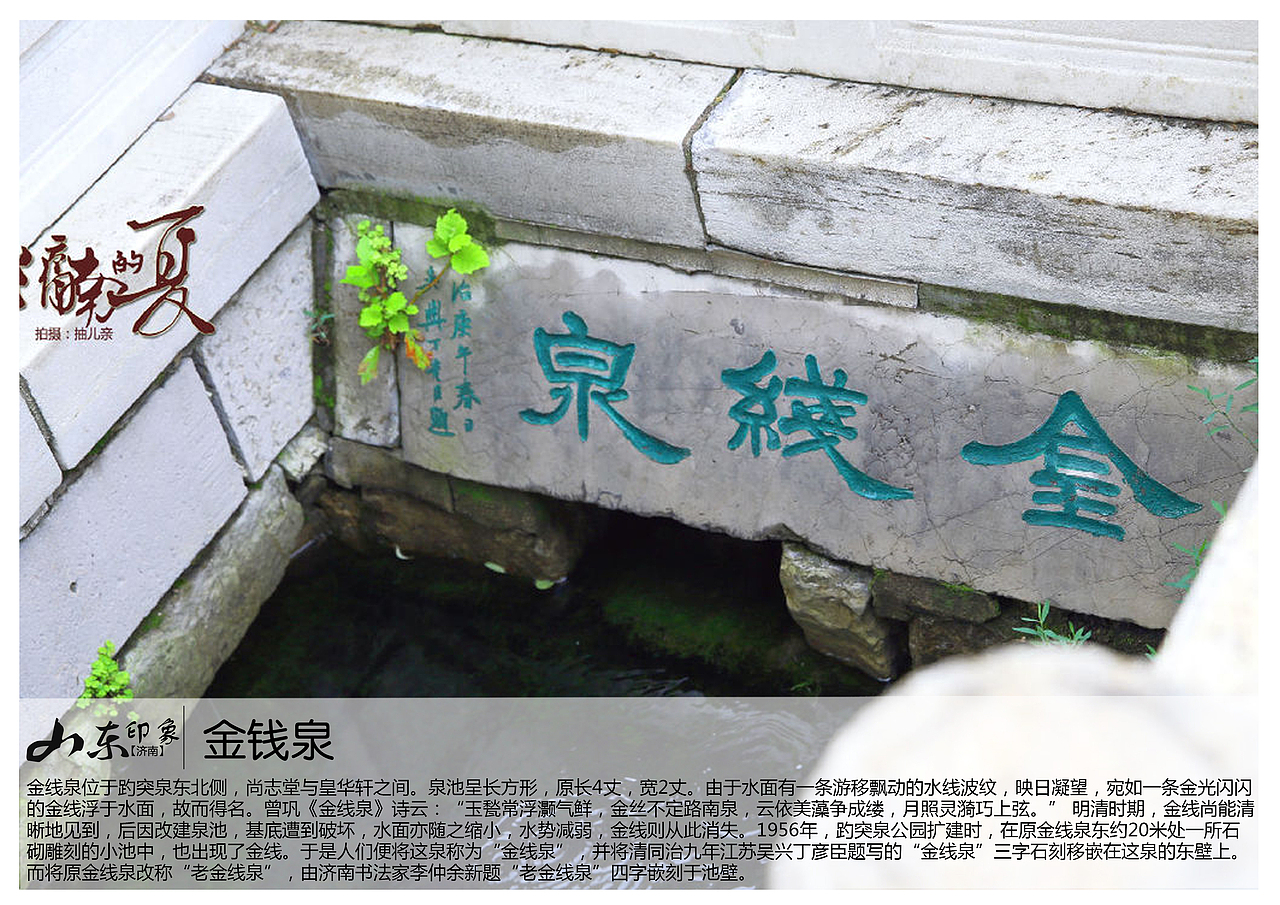 金线泉位于趵突泉东北侧,尚志堂与皇华轩之间.