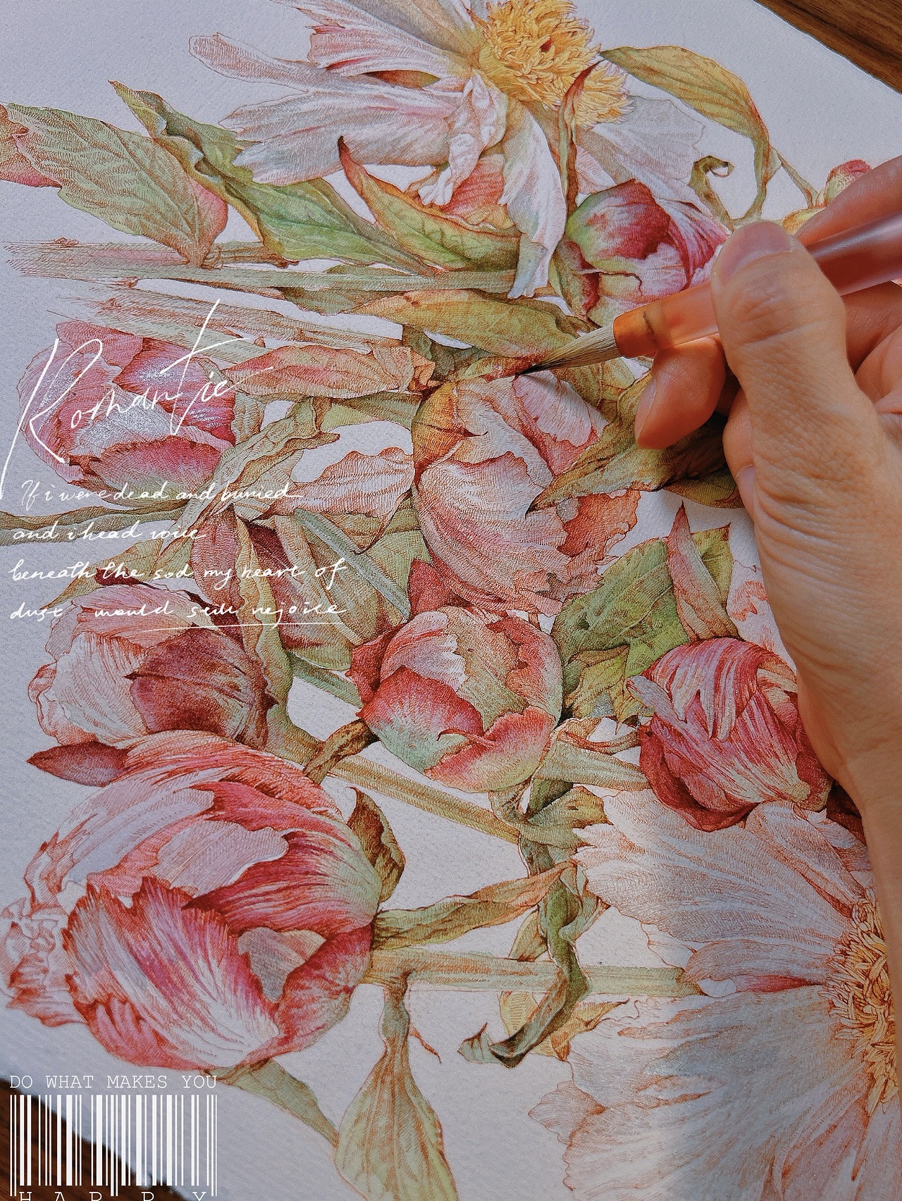 蘸水逆针管笔|麒麟丸芍药(图ZMzcxNzg0MTYw) - 艺术插画 - 站酷设计师CatCastleDZ原创素材 - 站酷ZCOOL