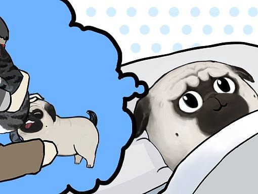 不同的是爱你的方式，不变的是爱你的心思