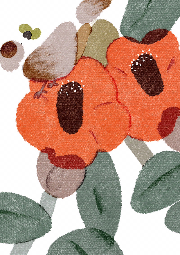 花期（图ZMzMyOTQyNDcy） - 创作习作 - 站酷设计师梁柠檬梁柠檬原创素材 - 站酷ZCOOL