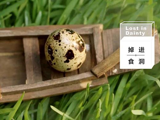 一枚鹌鹑蛋的“心酸血泪史”