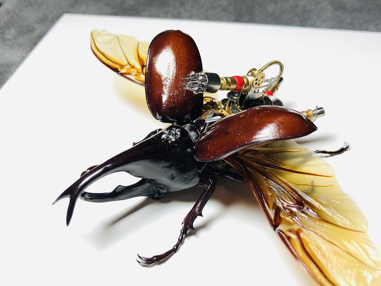 又開始不干正事了[z大笑]（圖ZMjA4MjgzNzg0） - 工藝品設計 - 站酷設計師覺匠原創(chuàng)素材 - 站酷ZCOOL