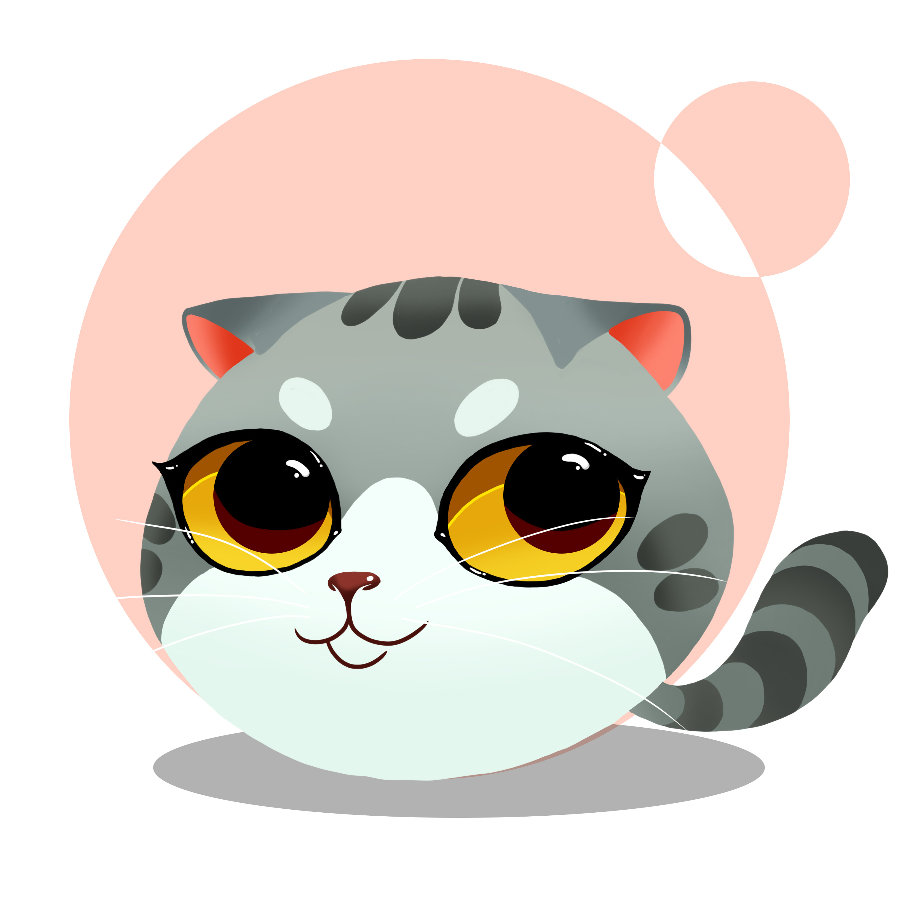 【猫咪系列】可爱折耳猫|插画|创作习作|我困无眠 - 原创作品 - 站酷 (ZCOOL)
