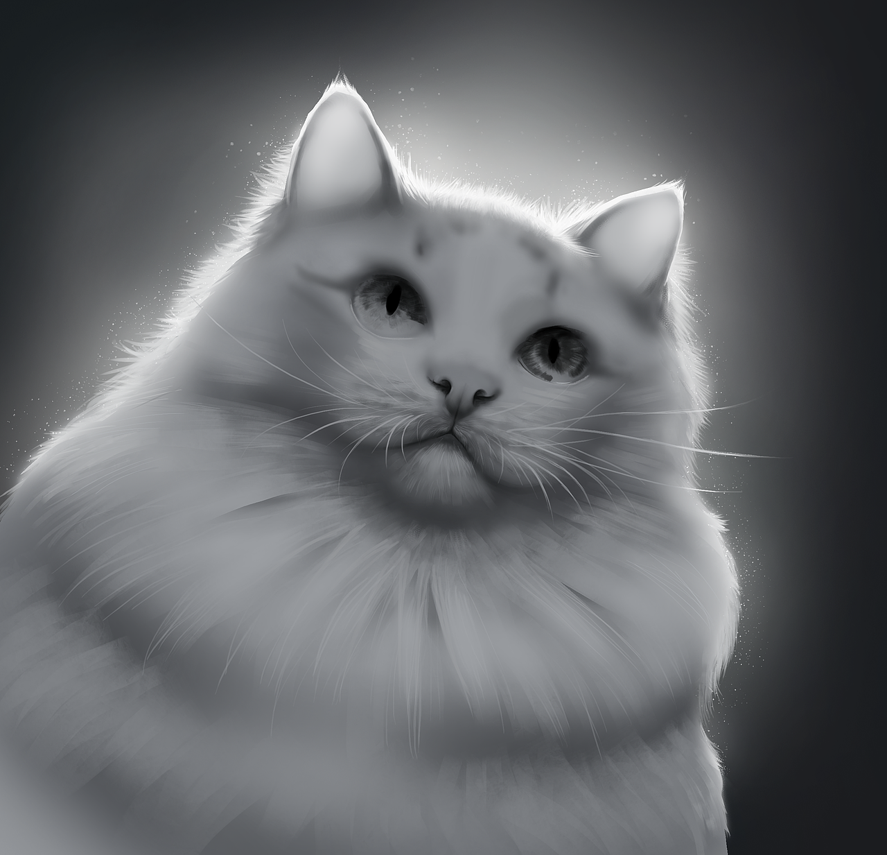 随手画自家布偶猫