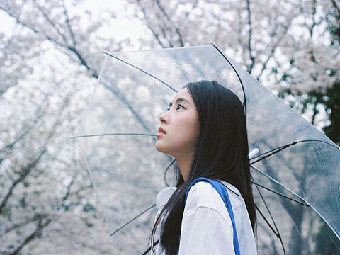 阴天里的春天🌸