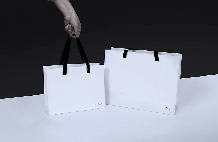 2016年sissyboy品牌vi