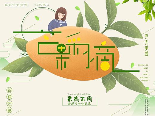芒果采摘