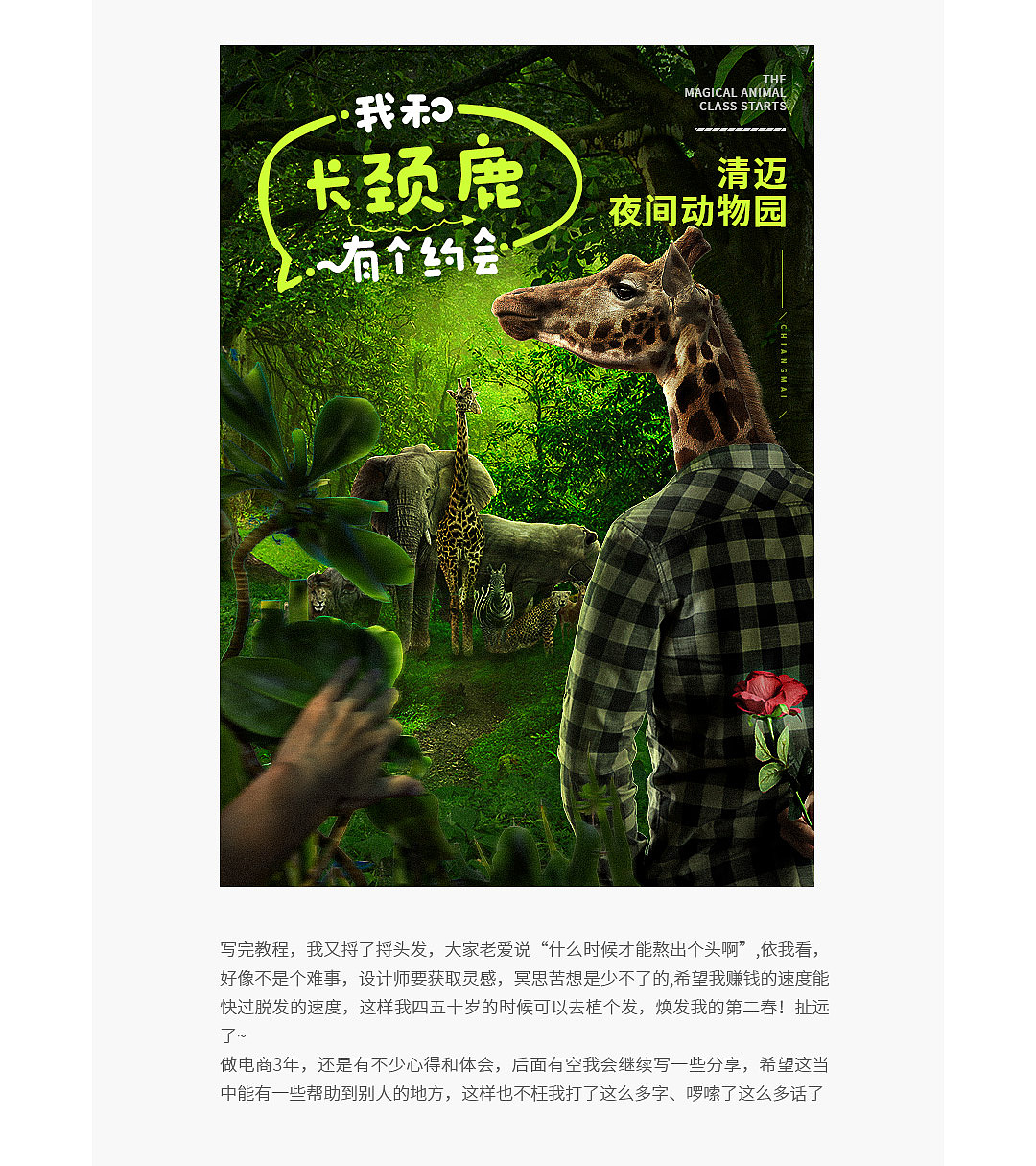 电商海报-夜间动物园