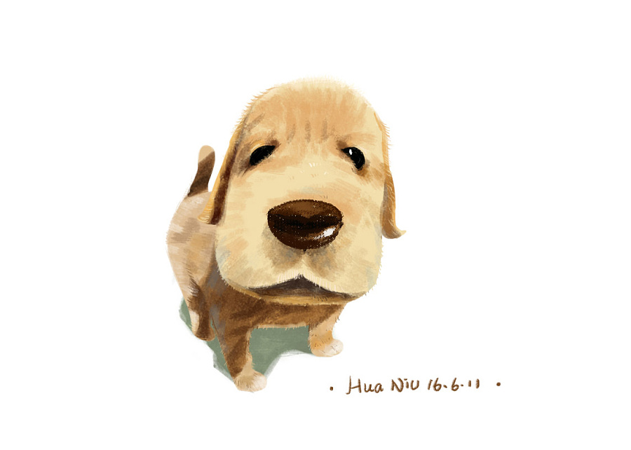 不减,狗依然会理我吧.orz