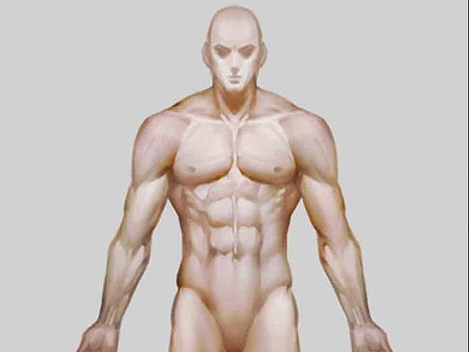 插画丨原画丨绘画丨男人体正面造型图文教程
