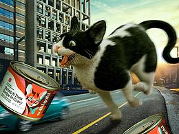 别动我猫粮电商首图合成