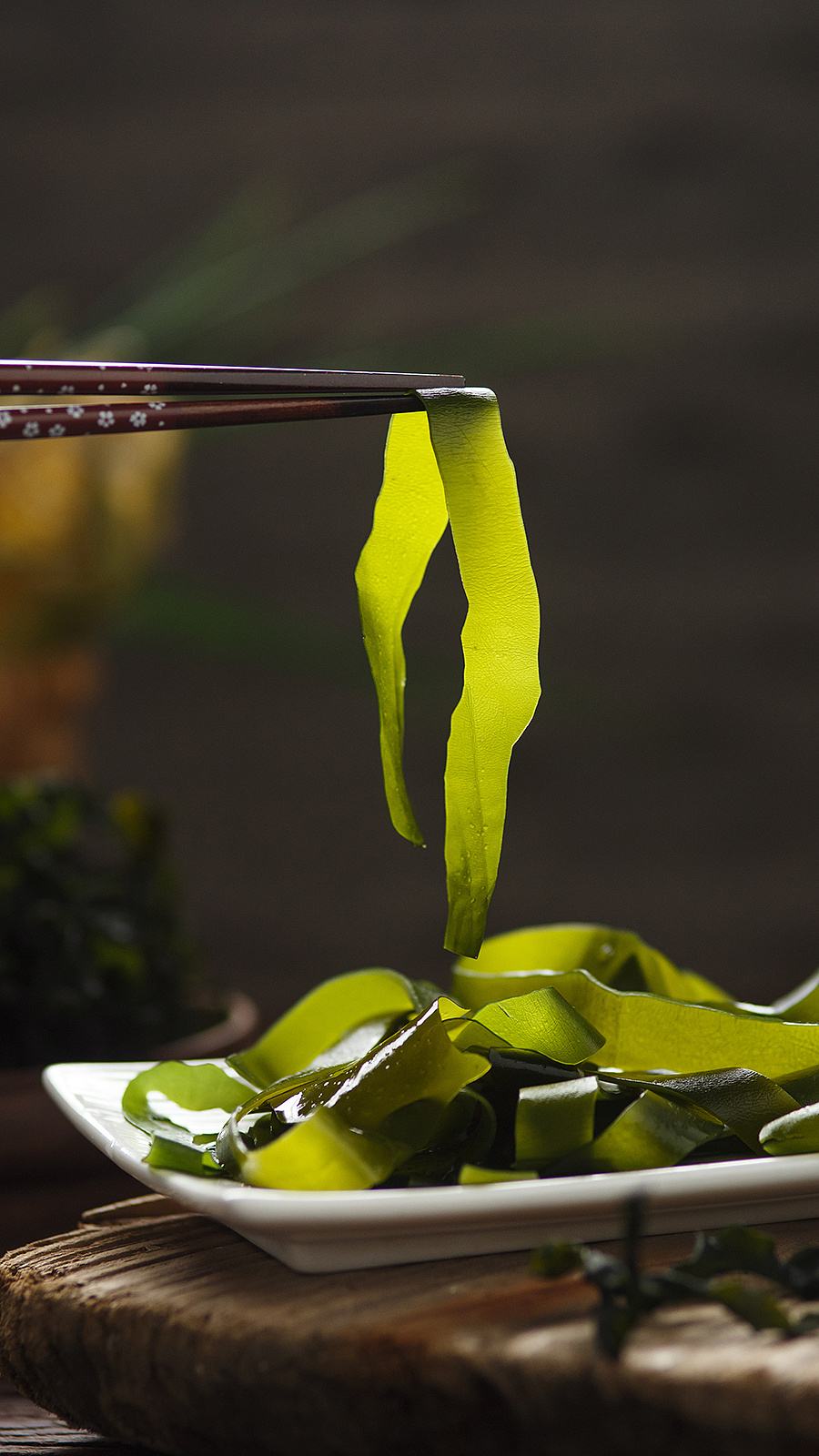 海带-厦门土特产海产品拍摄菜干摄影