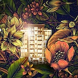 jbw的头像
