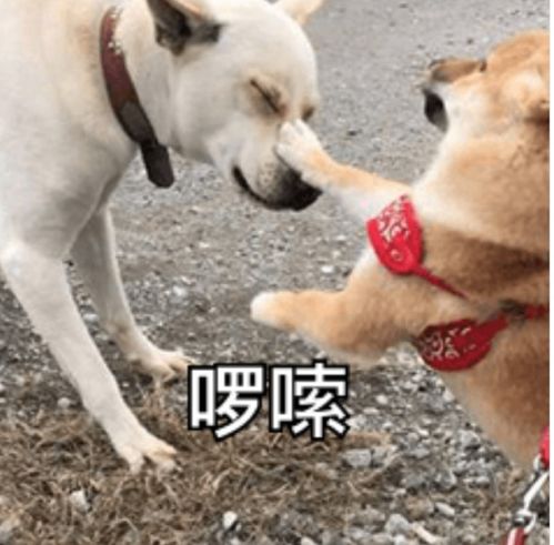 undefined undefined