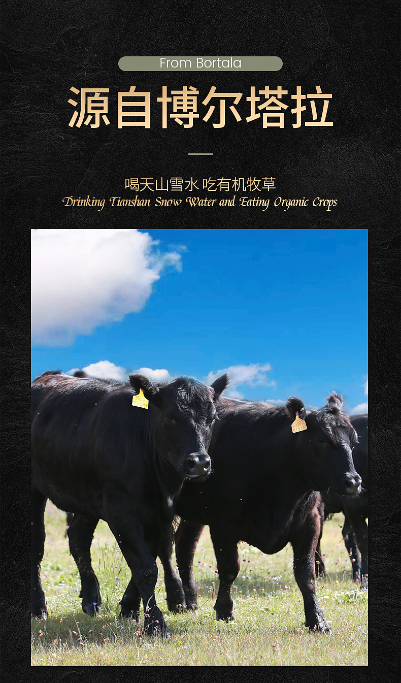 京东店铺装修（图ZMjMxMzUxNzQ4） - 宣传物料 - 站酷设计师一粒漂泊的沙原创素材 - 站酷ZCOOL