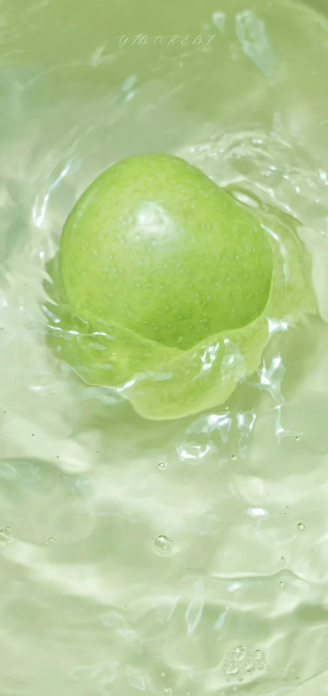 人间满目皆清欢，唯有时光不负秋。（图ZMzk3ODkxMzQw） - 美食摄影 - 站酷设计师一小迷糊一原创素材 - 站酷ZCOOL