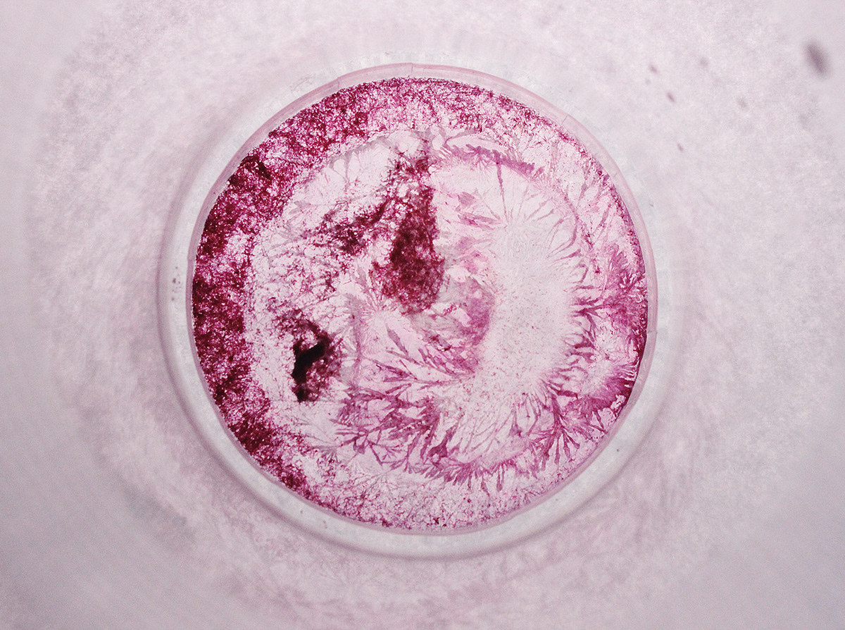 五颜六色（图ZMjAwNzMwMzgw） - 产品摄影 - 站酷设计师什么都不灰灰原创素材 - 站酷ZCOOL