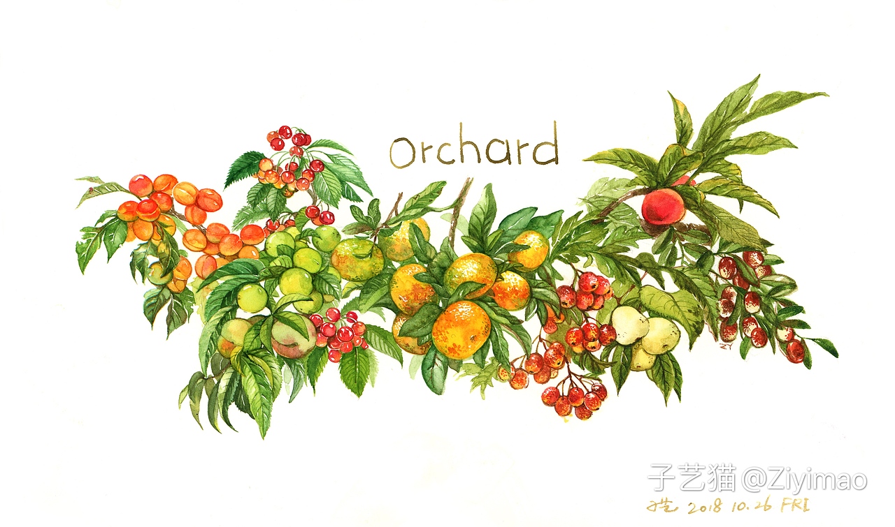 水彩-IELTS词汇书插图（图ZMTk1NDI0OTMy） - 商业插画 - 站酷设计师子艺猫原创素材 - 站酷ZCOOL