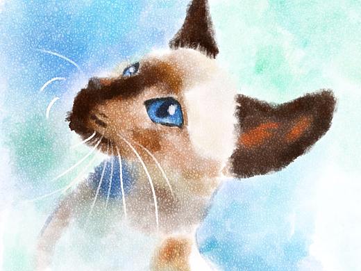 水彩猫