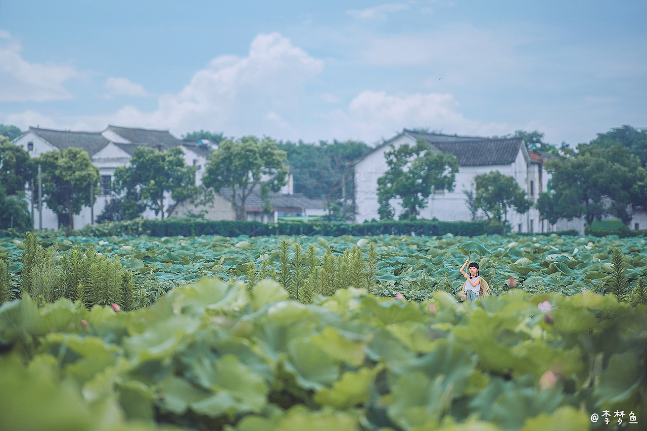 李梦鱼的夏天～2020（图ZMjIyMjM0NjQw） - 人像摄影 - 站酷设计师腰果虾仁原创素材 - 站酷ZCOOL