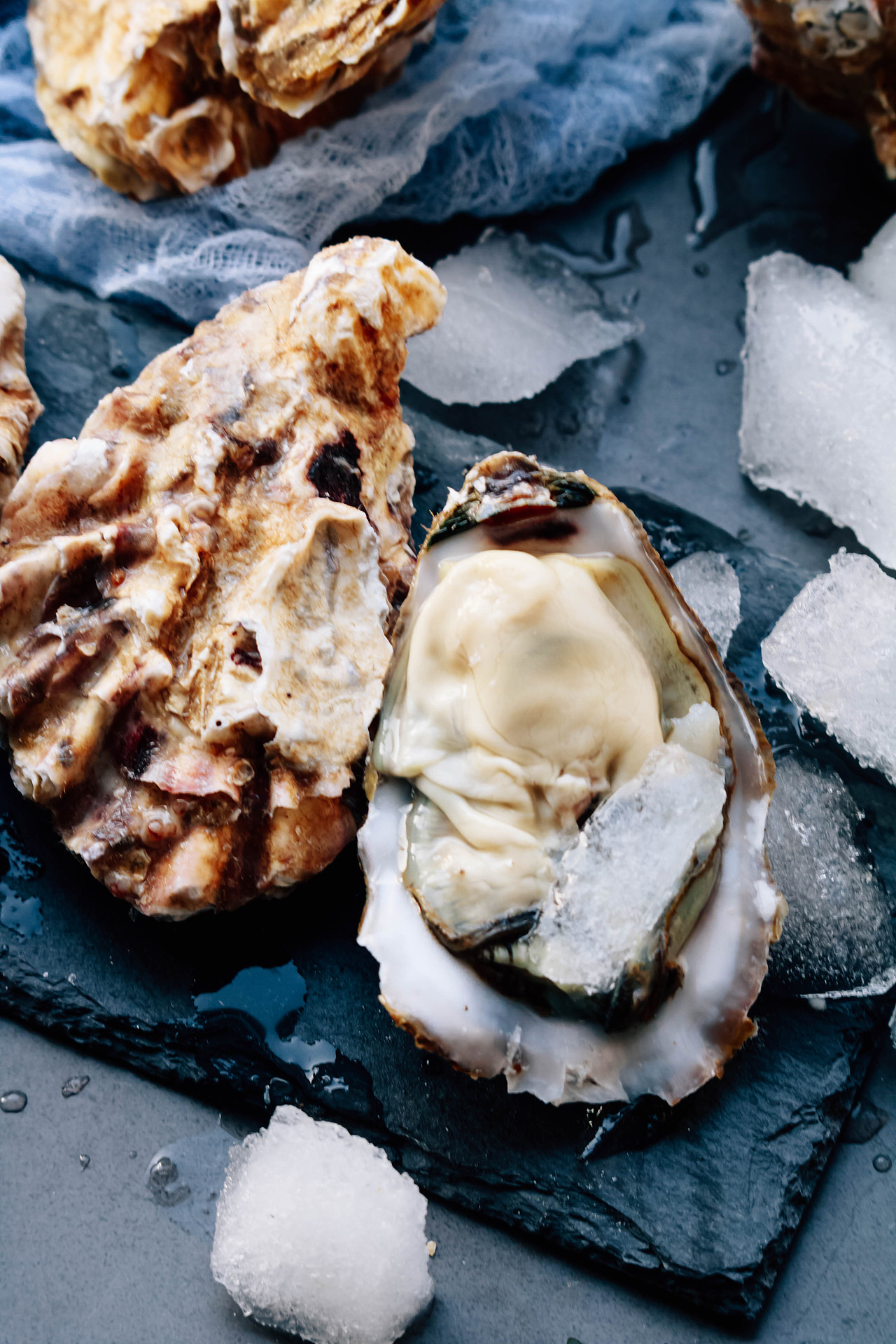 生蚝 海蛎子肉（图ZMjg0NDk0MjA0） - 产品摄影 - 站酷设计师独木桥的午后阳光原创素材 - 站酷ZCOOL