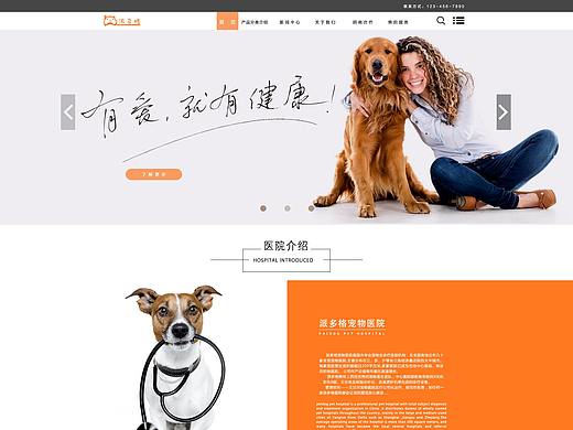 宠物网站练习